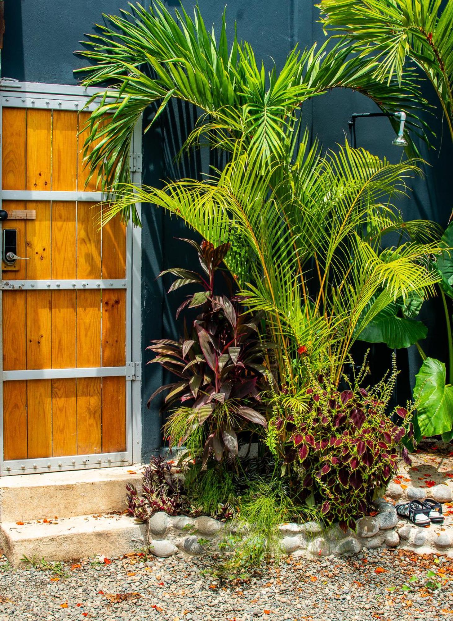 Puerto Viejo de Talamanca Mecca酒店 外观 照片