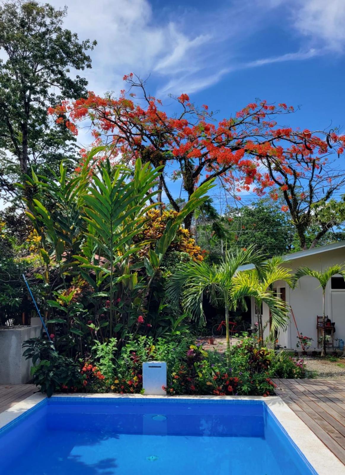 Puerto Viejo de Talamanca Mecca酒店 外观 照片