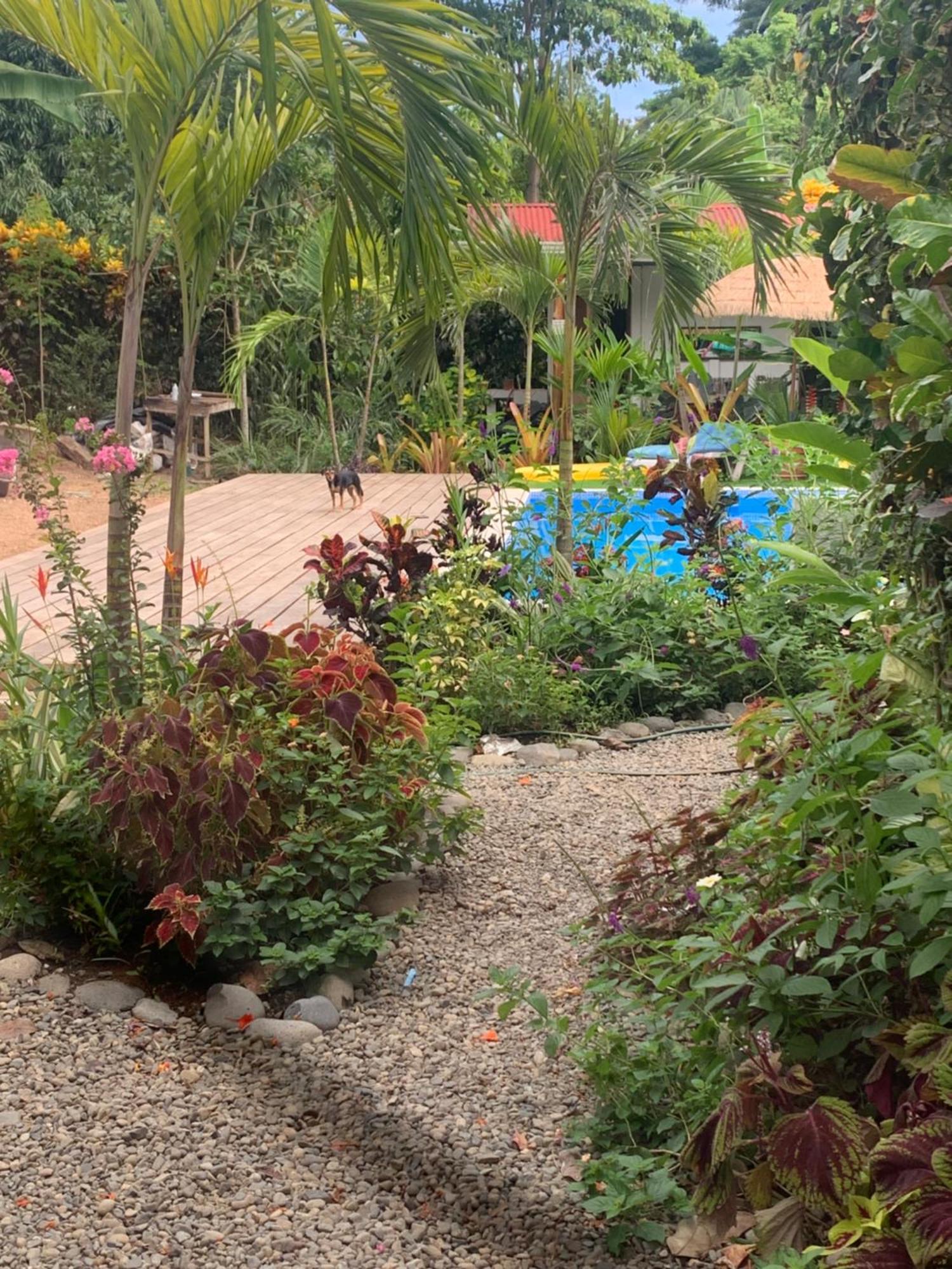Puerto Viejo de Talamanca Mecca酒店 外观 照片