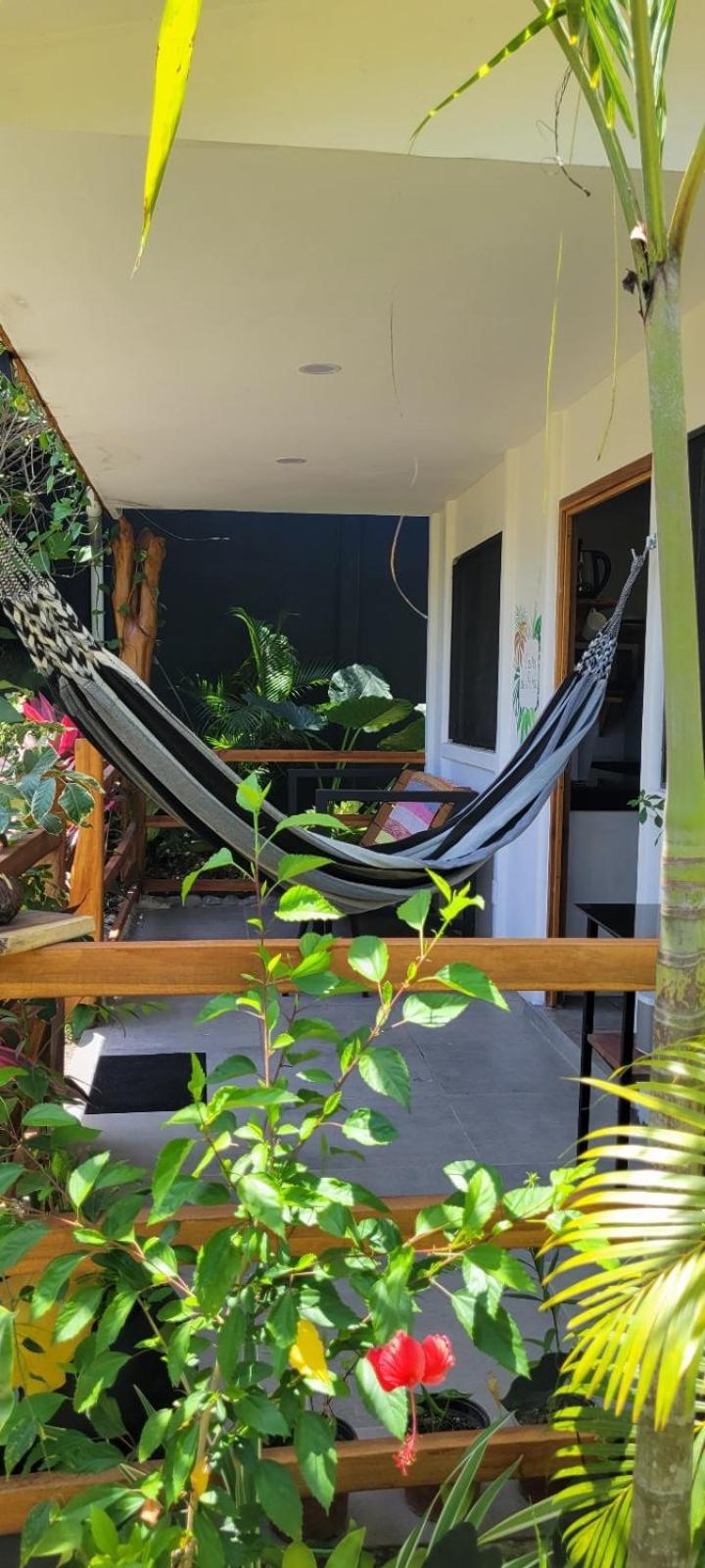 Puerto Viejo de Talamanca Mecca酒店 外观 照片